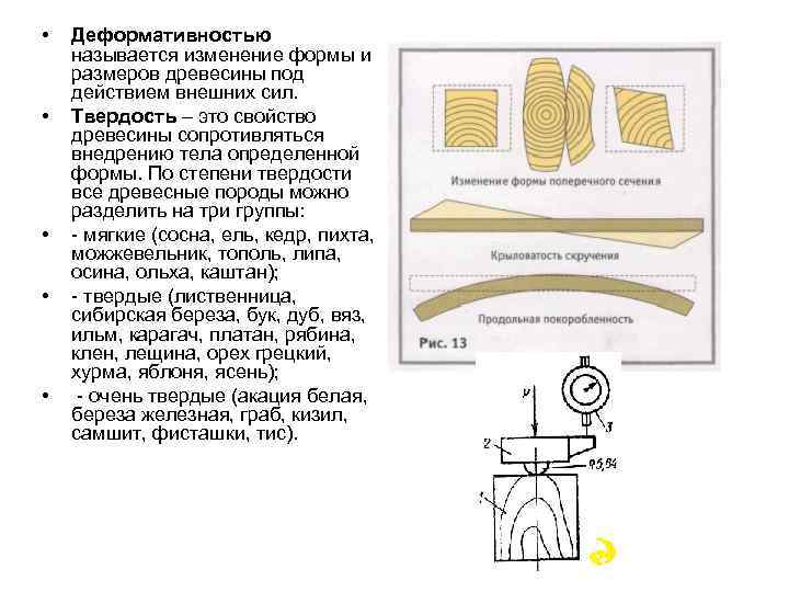 Изменение формы и размеров тела. Деформативность древесины. Древесина материаловедение. Деформация древесины. Измение формы древесины.