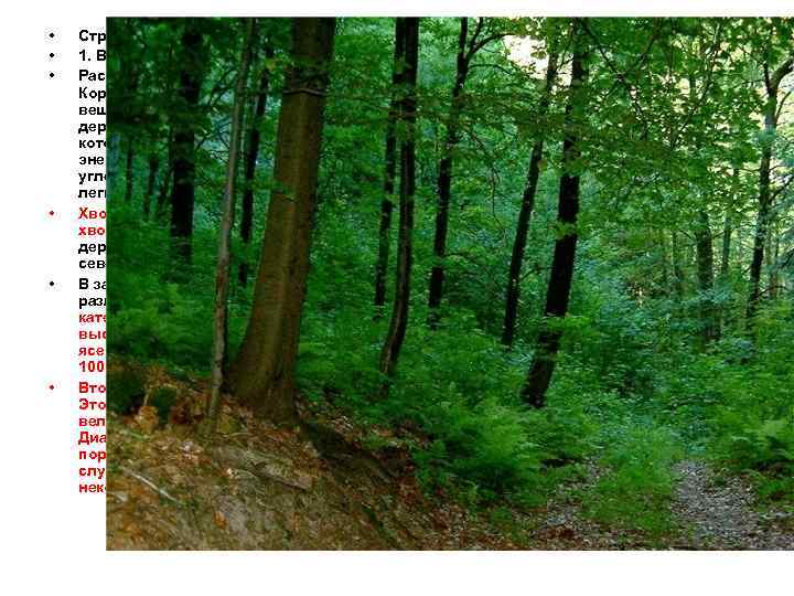  •  Строение древесины •  1. Виды древесных пород и части дерева