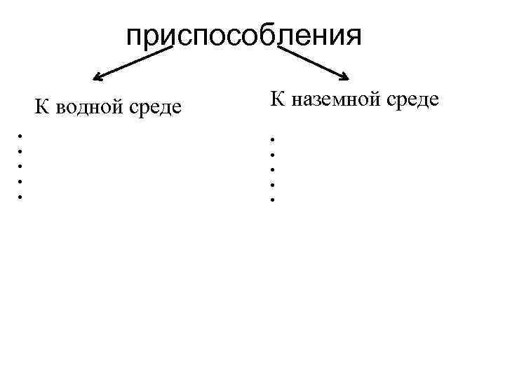   приспособления К водной среде  К наземной среде •   