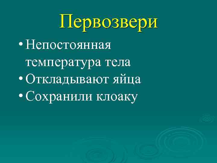  Первозвери • Непостоянная  температура тела  • Откладывают яйца • Сохранили клоаку
