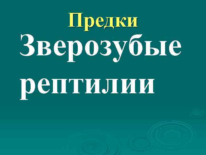   Предки Зверозубые рептилии 
