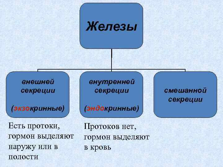 Внешние железы. Железы внешней внутренней и смешанной секреции. Внутренняя внешняя и смешанная секреция. Координация и регуляция таблица. Гуморальная регуляция железы внешней секреции.