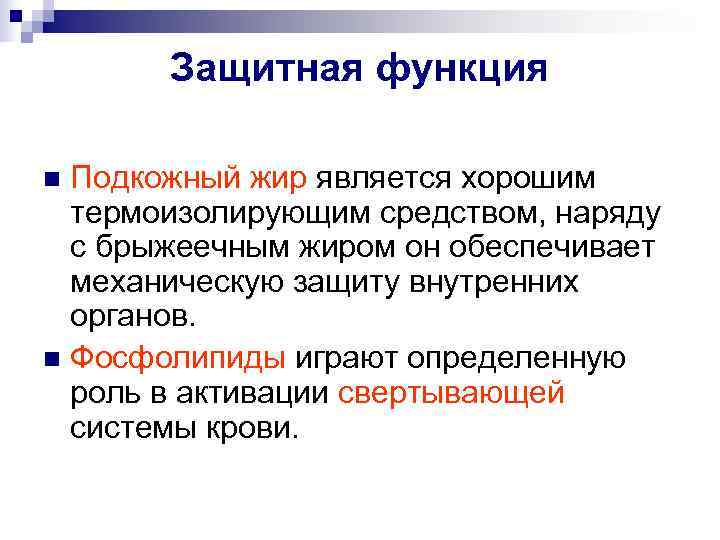   Защитная функция n Подкожный жир является хорошим  термоизолирующим средством, наряду 