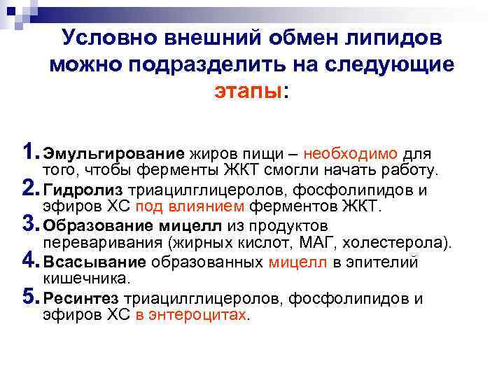   Условно внешний обмен липидов можно подразделить на следующие   этапы: 