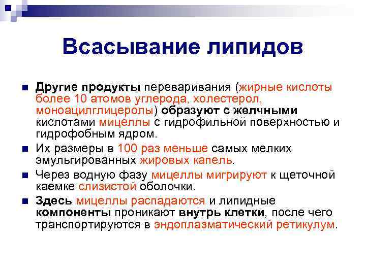   Всасывание липидов n  Другие продукты переваривания (жирные кислоты более 10 атомов
