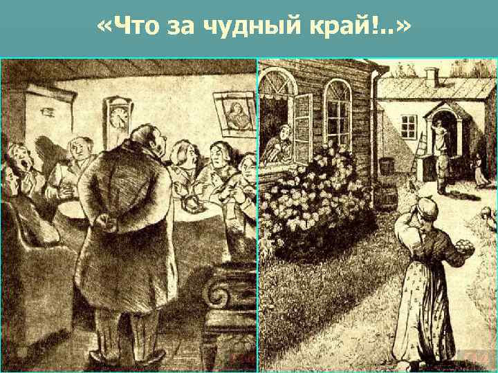  «Что за чудный край!. . » 