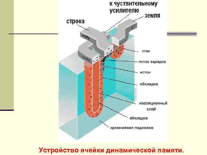 Ячейка динамической памяти. Устройство динамической оперативной памяти. Устройство ячейки памяти. Сортировка в динамической памяти.