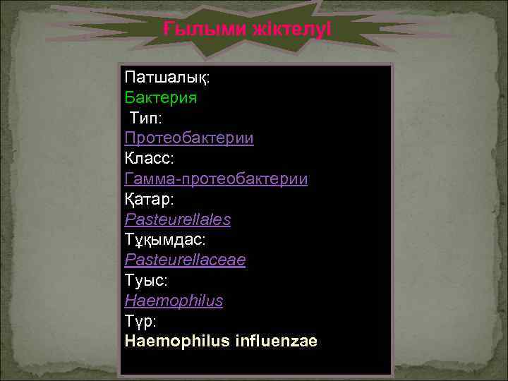   Ғылыми жіктелуі   Патшалық:   Бактерия   Тип: 