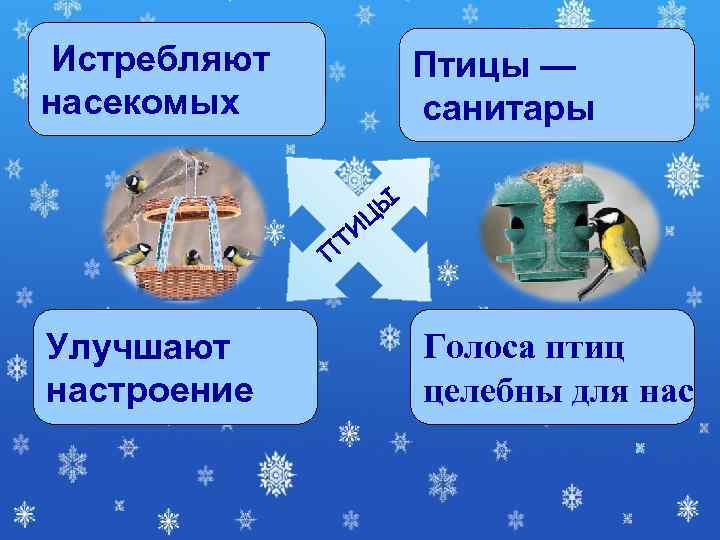 Истребляют   Птицы — насекомых   санитары     Ы