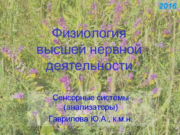      2016 Физиология высшей нервной деятельности  Сенсорные системы (анализаторы)