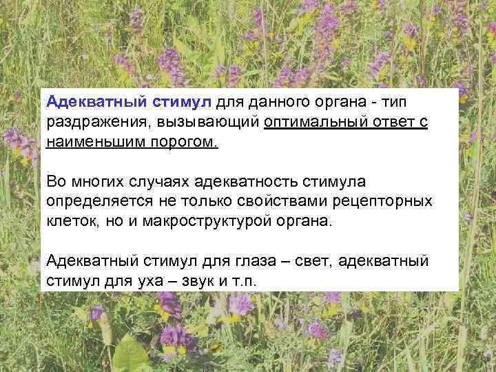 Адекватный стимул для данного органа - тип раздражения, вызывающий оптимальный ответ с наименьшим порогом.