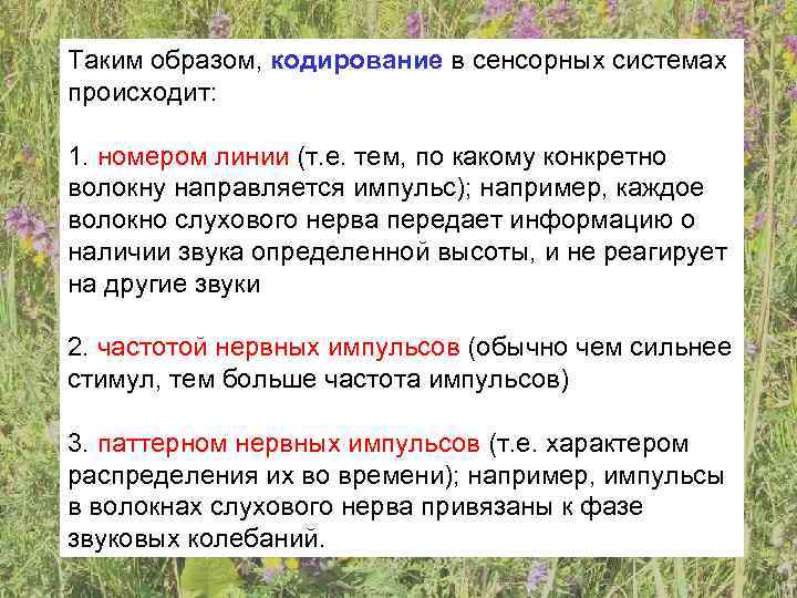Таким образом, кодирование в сенсорных системах происходит:  1. номером линии (т. е. тем,