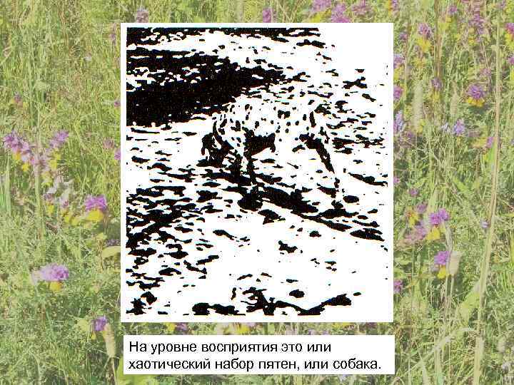 На уровне восприятия это или хаотический набор пятен, или собака. 