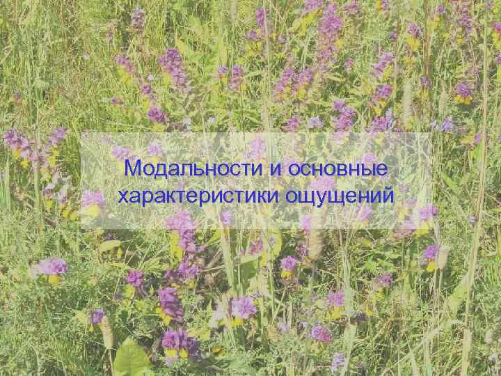  Модальности и основные характеристики ощущений 