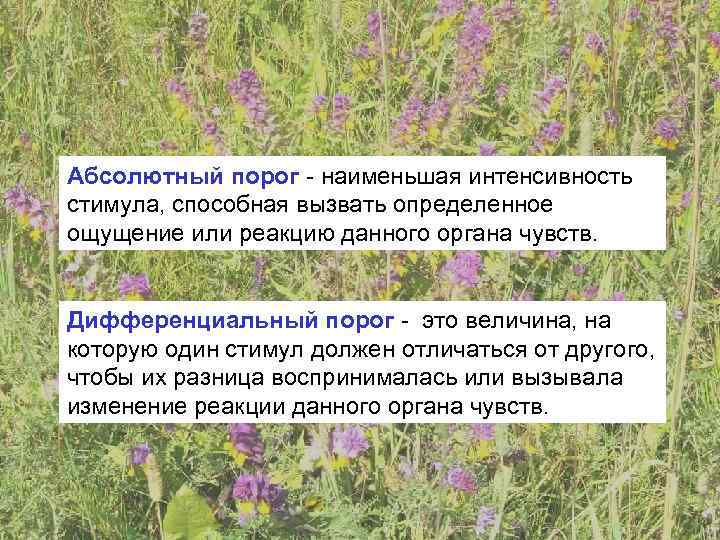 Абсолютный порог - наименьшая интенсивность стимула, способная вызвать определенное ощущение или реакцию данного органа