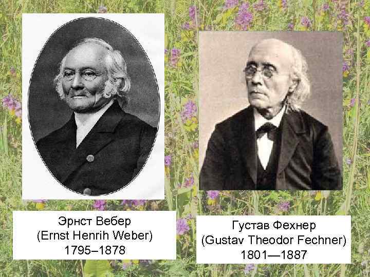   Эрнст Вебер   Густав Фехнер (Ernst Henrih Weber)  (Gustav Theodor