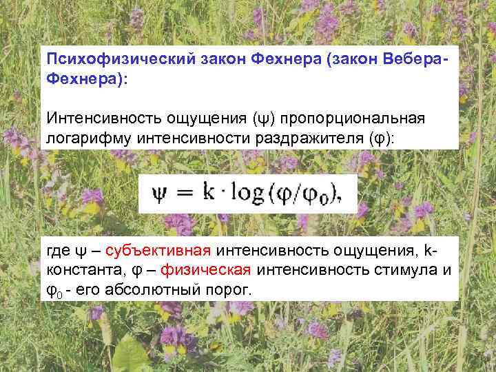 Психофизический закон Фехнера (закон Вебера- Фехнера):  Интенсивность ощущения (ψ) пропорциональная логарифму интенсивности раздражителя