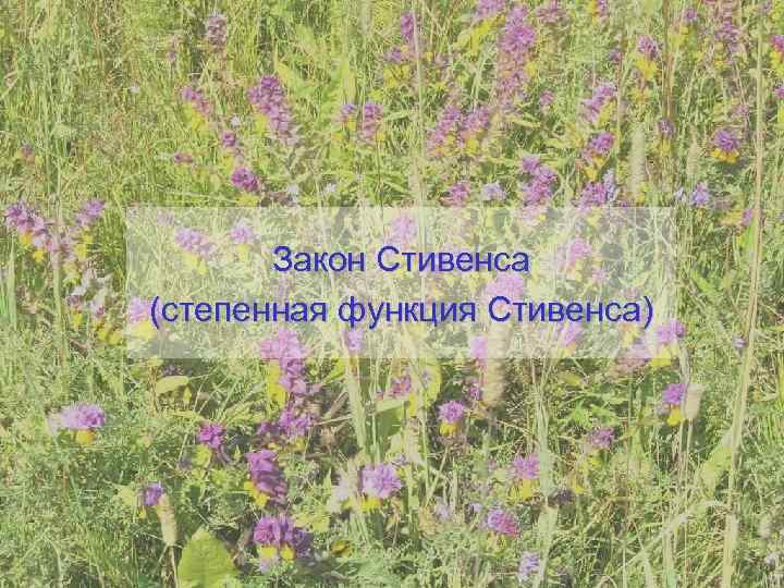   Закон Стивенса (степенная функция Стивенса) 