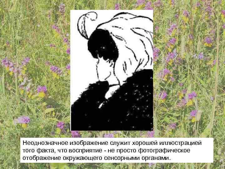 Неоднозначное изображение служит хорошей иллюстрацией того факта, что восприятие - не просто фотографическое отображение