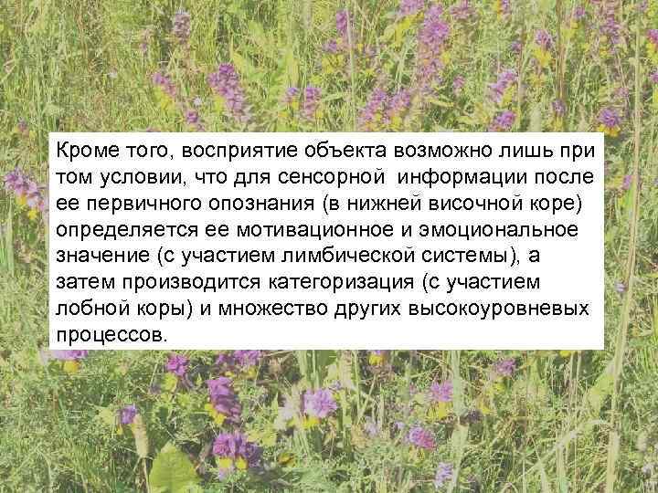 Кроме того, восприятие объекта возможно лишь при том условии, что для сенсорной информации после