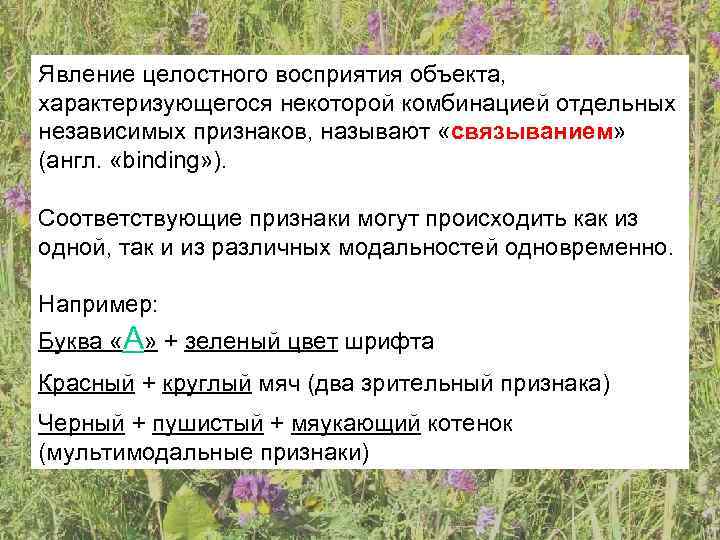 Явление целостного восприятия объекта, характеризующегося некоторой комбинацией отдельных независимых признаков, называют «связыванием» (англ. 