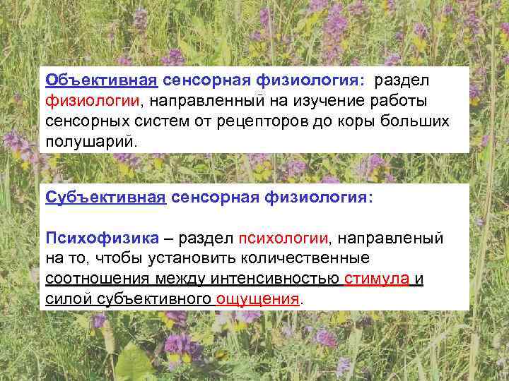 Объективная сенсорная физиология: раздел физиологии, направленный на изучение работы сенсорных систем от рецепторов до