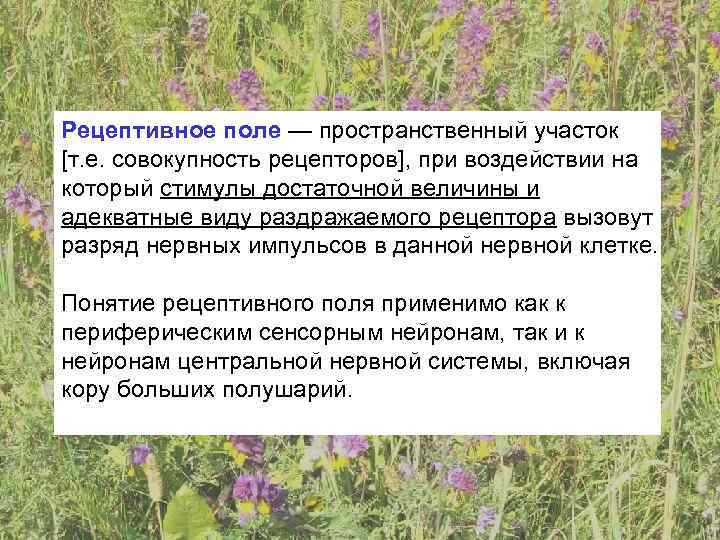 Рецептивное поле — пространственный участок [т. е. совокупность рецепторов], при воздействии на который стимулы