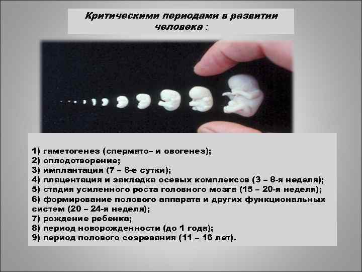   Критическими периодами в развитии    человека : 1) гаметогенез (спермато–