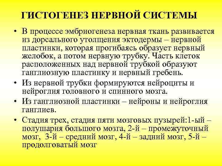  ГИСТОГЕНЕЗ НЕРВНОЙ СИСТЕМЫ • В процессе эмбриогенеза нервная ткань развивается  из дорсального