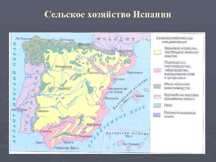 Характеристика страны испания по плану 7