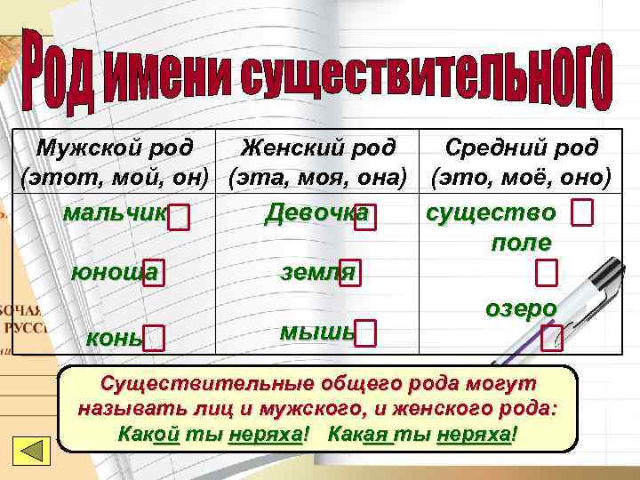  Мужской род  Женский род Средний род (этот, мой, он) (эта, моя, она)