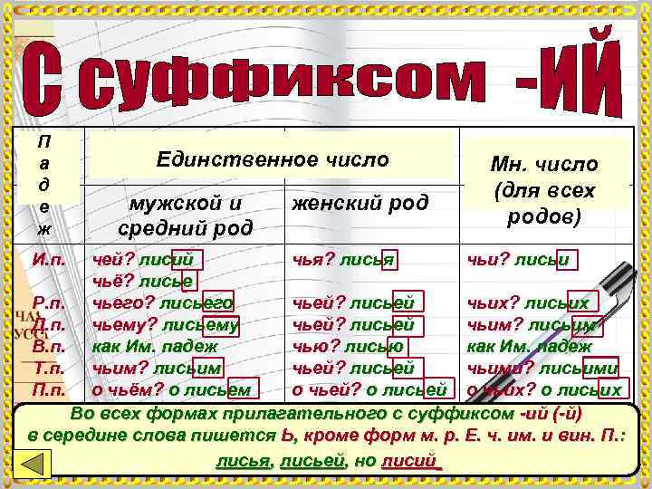  П а  Единственное число    Мн. число д  