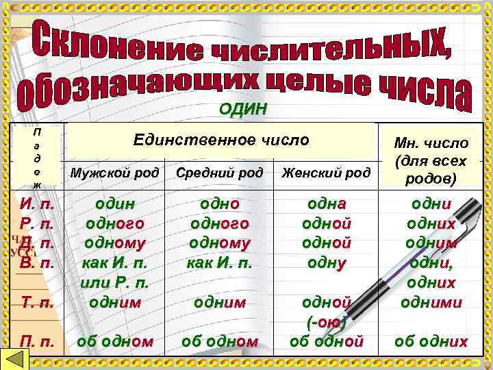      ОДИН П а   Единственное число 