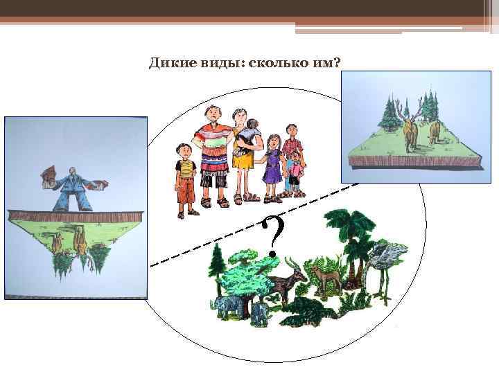 Дикие виды: сколько им?    ? 