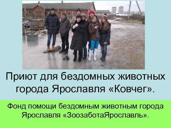 Приют для бездомных животных города Ярославля «Ковчег» . Фонд помощи бездомным животным города 