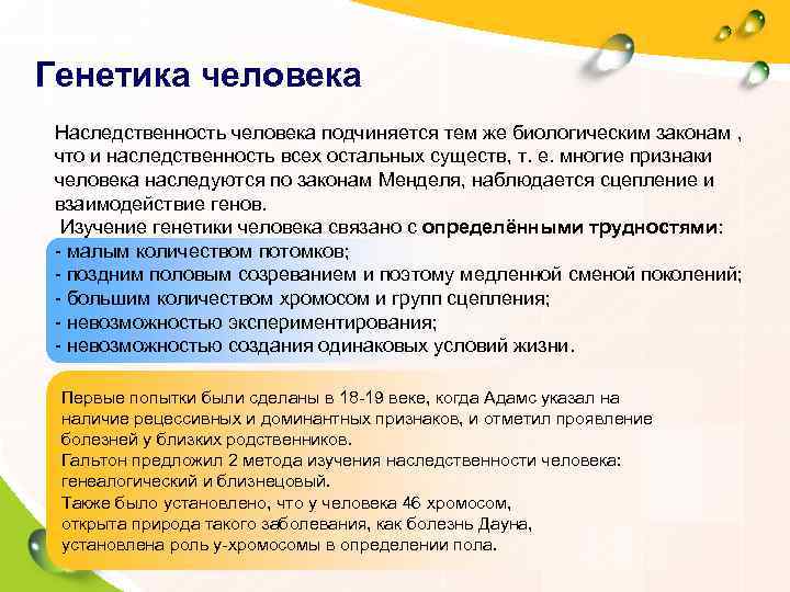  Генетика человека  Наследственность человека подчиняется тем же биологическим законам , что и