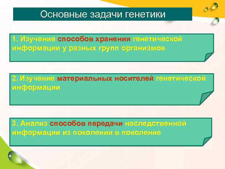  Основные задачи генетики 1. Изучение способов хранения генетической информации у разных групп организмов