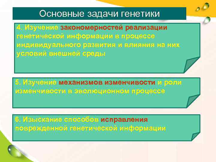  Основные задачи генетики 4. Изучение закономерностей реализации генетической информации в процессе индивидуального развития