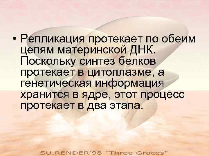  • Репликация протекает по обеим  цепям материнской ДНК.  Поскольку синтез белков