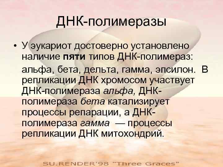   ДНК-полимеразы • У эукариот достоверно установлено  наличие пяти типов ДНК-полимераз: 