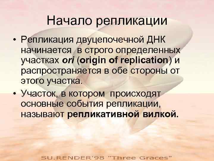   Начало репликации • Репликация двуцепочечной ДНК  начинается в строго определенных 