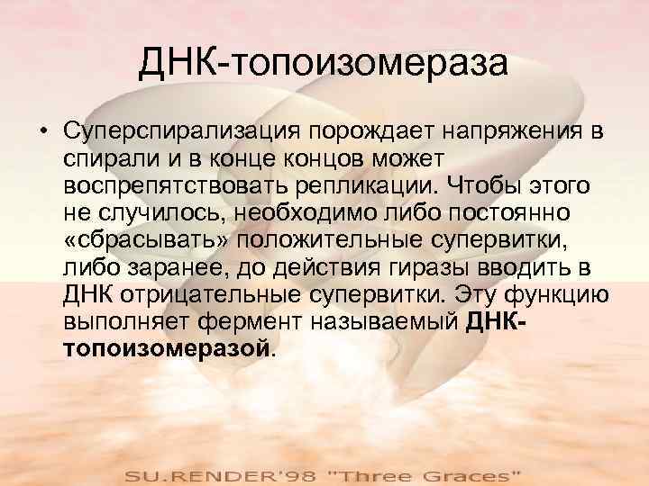   ДНК-топоизомераза • Суперспирализация порождает напряжения в  спирали и в конце концов