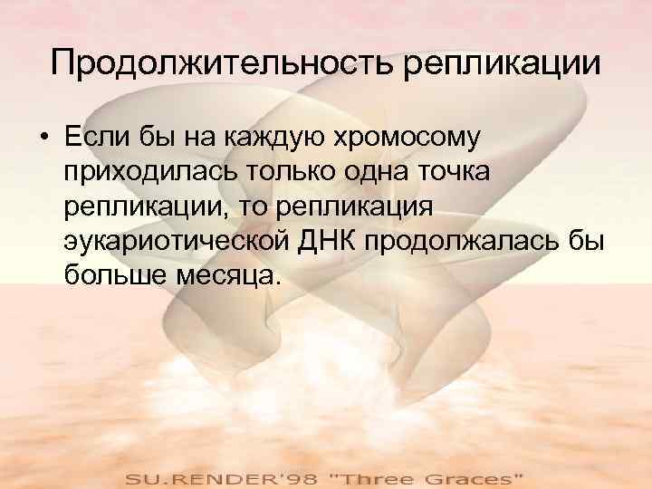Продолжительность репликации • Если бы на каждую хромосому  приходилась только одна точка 