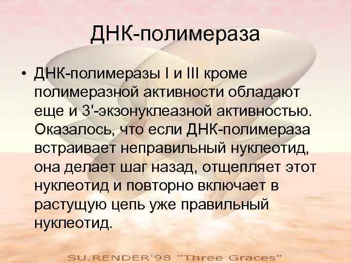   ДНК-полимераза • ДНК-полимеразы I и III кроме  полимеразной активности обладают 