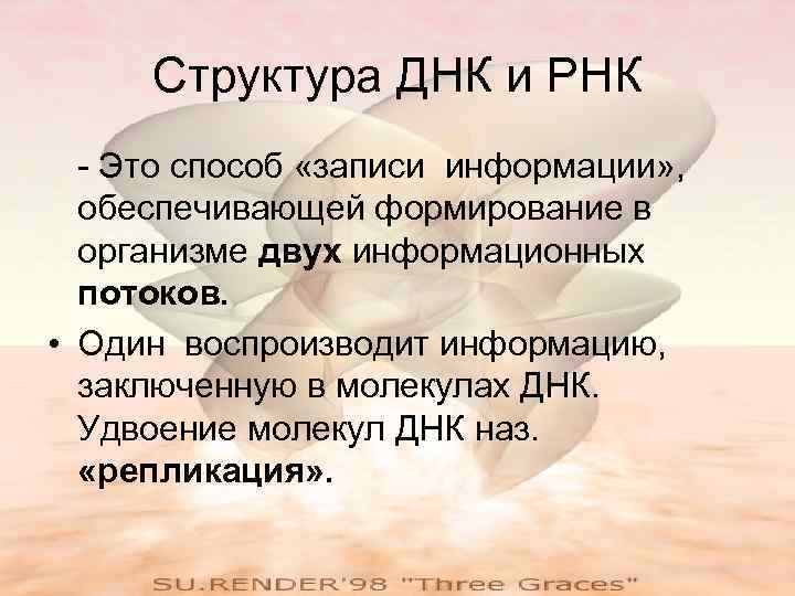  Структура ДНК и РНК  - Это способ «записи информации» ,  обеспечивающей