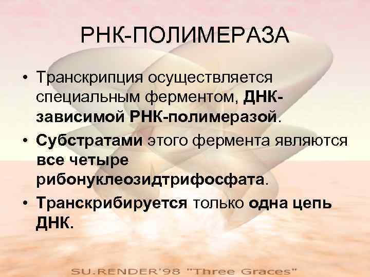  РНК-ПОЛИМЕРАЗА • Транскрипция осуществляется  специальным ферментом, ДНК-  зависимой РНК-полимеразой.  •
