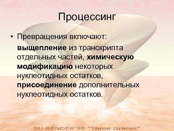   Процессинг • Превращения включают:  выщепление из транскрипта  отдельных частей, химическую