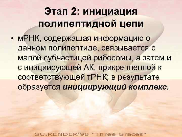  Этап 2: инициация  полипептидной цепи • м. РНК, содержащая информацию о