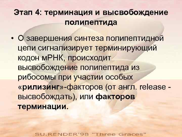 Этап 4: терминация и высвобождение   полипептида • О завершения синтеза полипептидной 