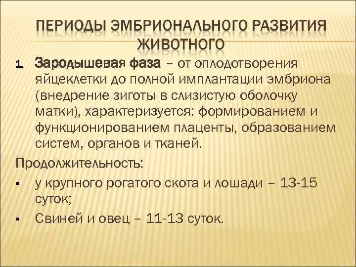 1. Зародышевая фаза – от оплодотворения яйцеклетки до полной имплантации эмбриона (внедрение 1. Зародышевая фаза – от оплодотворения яйцеклетки до полной имплантации эмбриона (внедрение